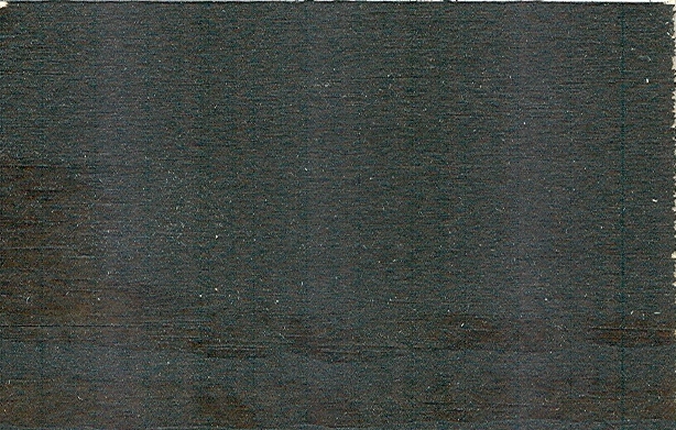 ECOPROTECTOR - různé odstíny - Barva: ECOPROTECTOR - EBONY, Objem: 1 litr