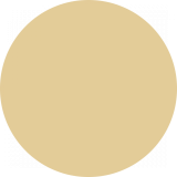 Huile envi. BOIS BRUT