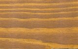 ECOPROTECTOR - TEAK